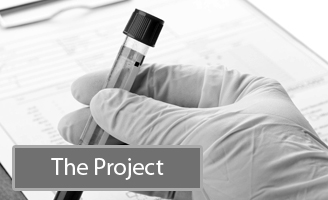 The Project