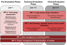 CANCER-ID Work Plan